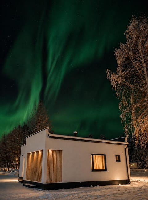 Property building, Night, Natural landscape, Winter