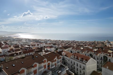 Nearby landmark, Natural landscape, Bird's eye view, Beach, City view, Sea view