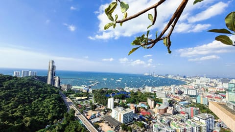 Day, Bird's eye view, Garden, Balcony/Terrace, City view, Sea view