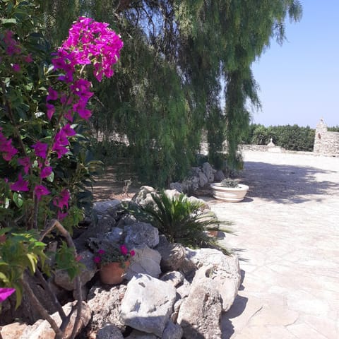 Garden, Garden view