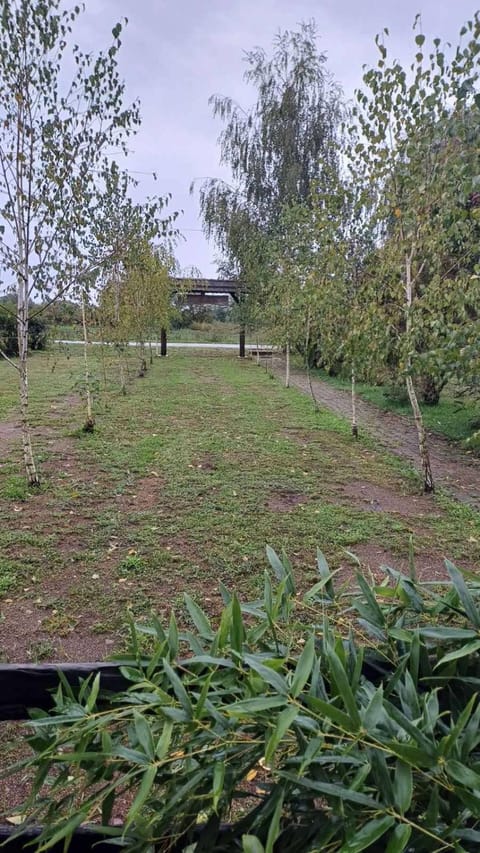 Koliba Brezova šuma Chalet in Federation of Bosnia and Herzegovina