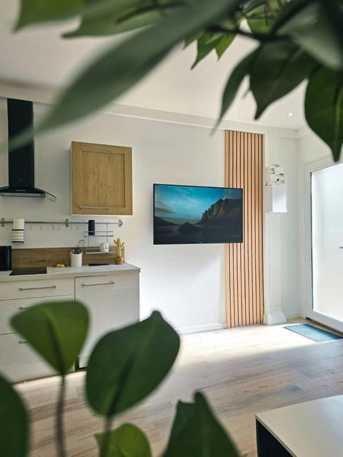 Kitchen or kitchenette, stove