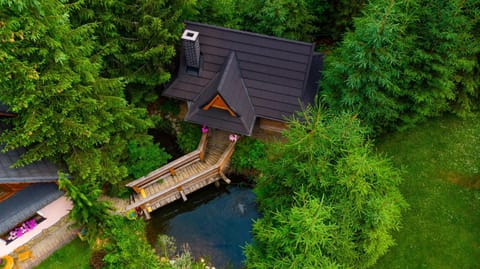 Natural landscape, Bird's eye view, Garden