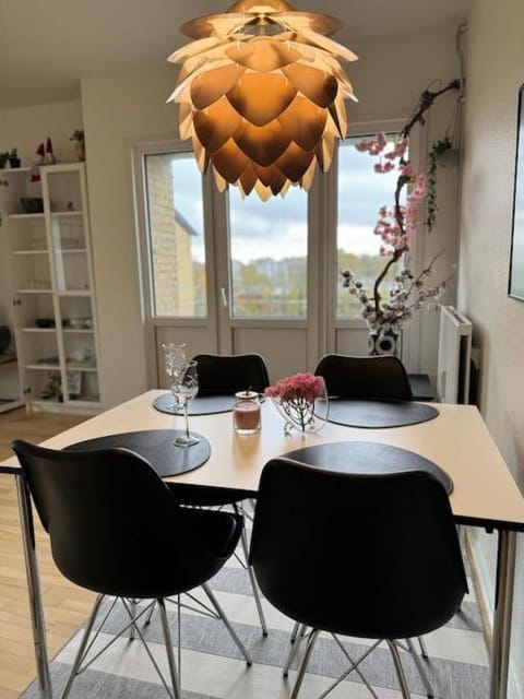 Stor og Lys Lejlighed i Hjertet af Holstebro Apartment in Central Denmark Region