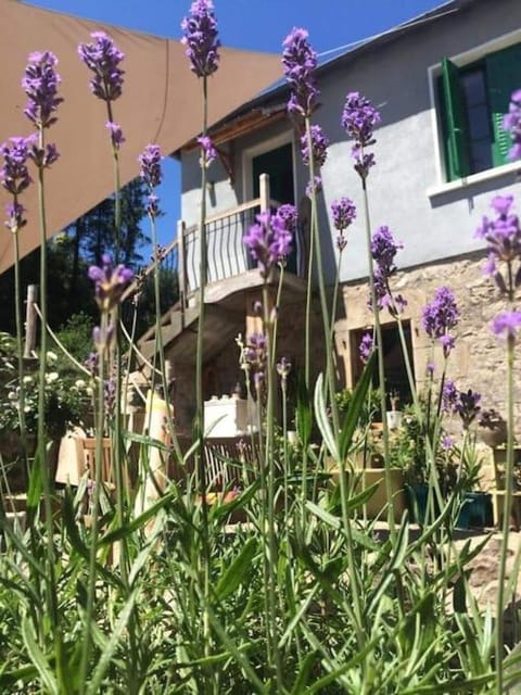 Property building, Garden, Garden