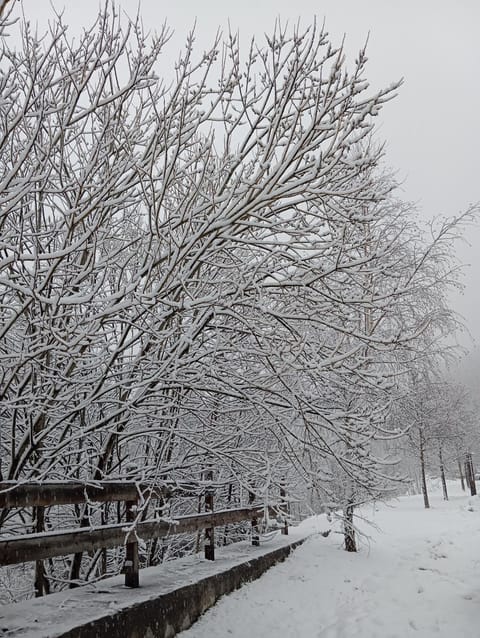 Appartamento Sommeiller Apartment in Bardonecchia