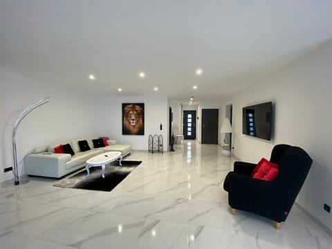 TV and multimedia, Living room, Decorative detail, Seating area, Evening entertainment, pet friendly