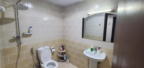 Shower, Toilet, Bathroom, bidet