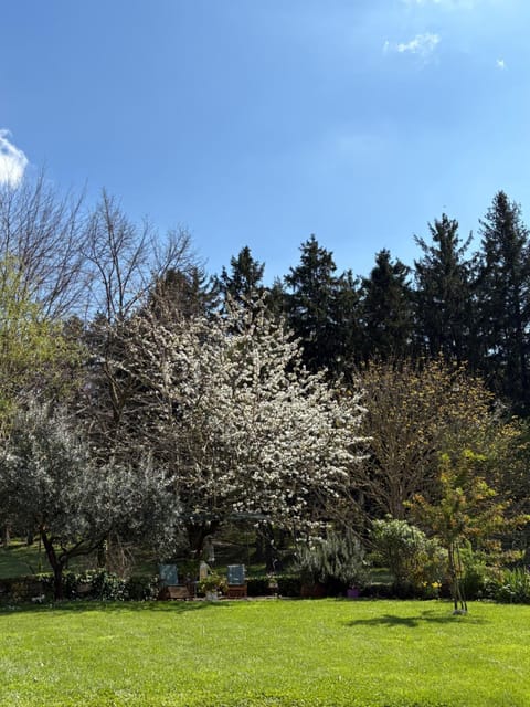 Il giardino segreto House in Grottaferrata