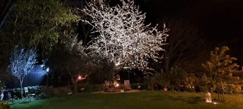 Il giardino segreto House in Grottaferrata