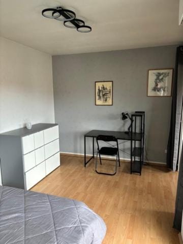 Strasbourg Jules Verne Apartment in Strasbourg