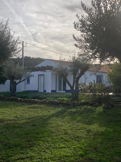 Property building, Garden, Garden view