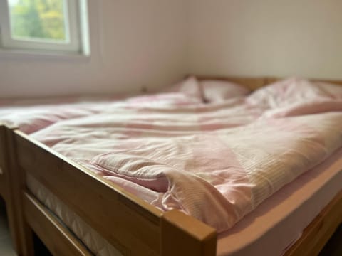 Apartments Elida Apartment in Sarajevo