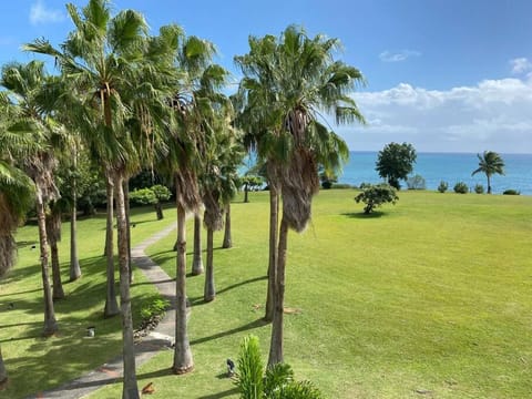 Garden view, Sea view