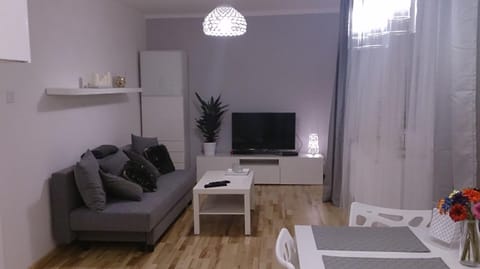 Living room, Photo of the whole room