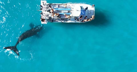 111 at The Esplanade Apartment in Hermanus