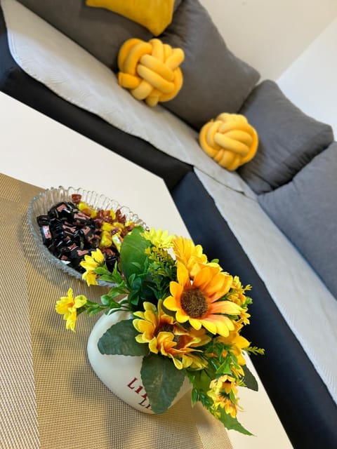 Apartment Marija Apartment in Mostar