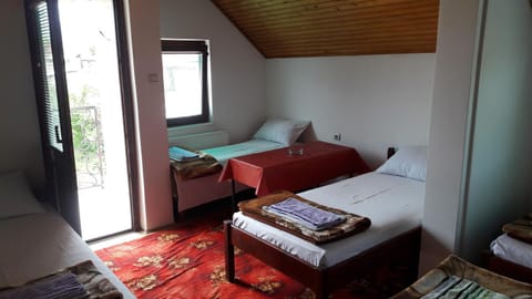 Mico NP Guest House Bed and Breakfast in Serbia