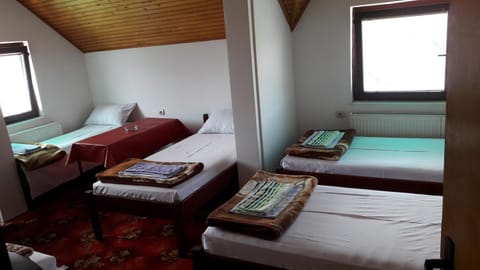Mico NP Guest House Bed and Breakfast in Serbia
