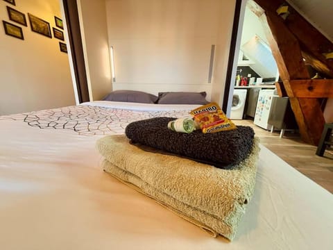 Studio 2 personnes Proche Centre-Ville Apartment in Besançon