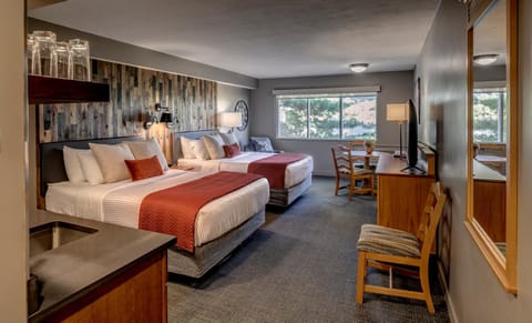 Kitchen or kitchenette, Bedroom