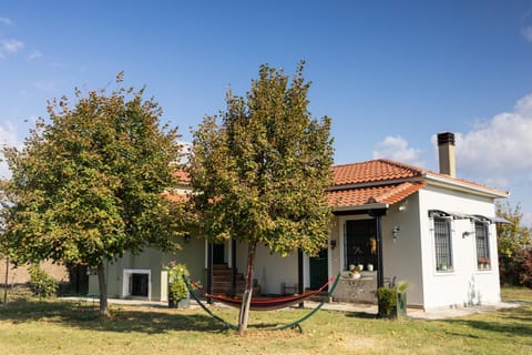 Property building, Natural landscape, Garden, Garden view