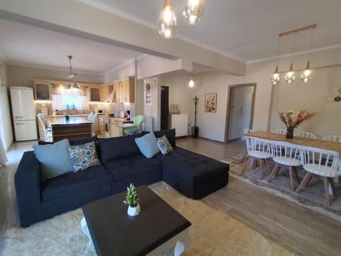 Kitchen or kitchenette, Living room, Seating area, Dining area
