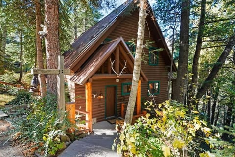 Beartooth Lodge with Hot Tub and Stuart Falls Views Apartment in Sundance