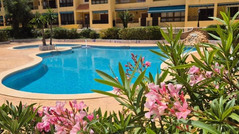 Swimming pool, Open Air Bath, Public Bath