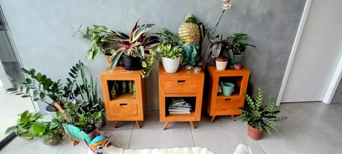 Refugio Carioca Prime apenas para casais ou homens Vacation rental in Rio de Janeiro