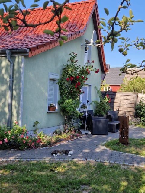 Property building, Garden view