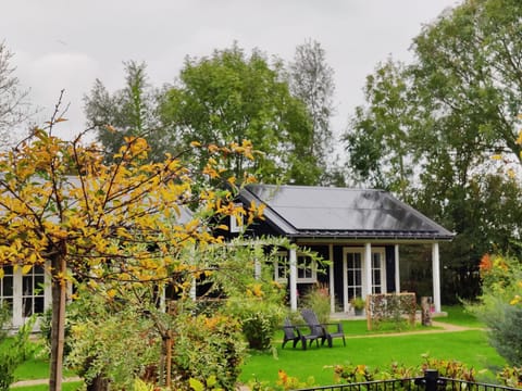 Garden, Autumn, Garden view