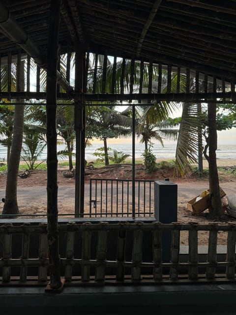 Day, Garden, Garden view