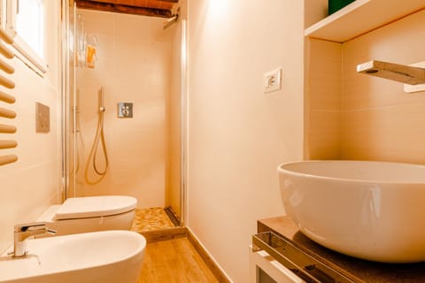 Shower, Toilet, Bathroom, bidet