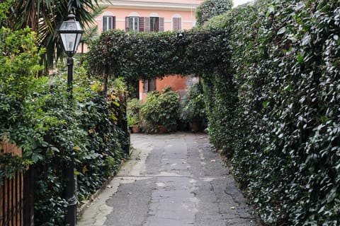 Spring, Day, Garden, Garden view