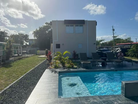 Garden, Garden view, Pool view, Swimming pool, sunbed