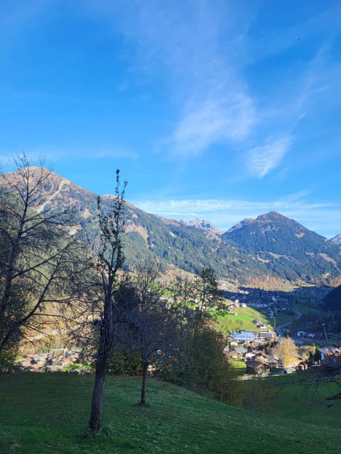 Ferienwohnung Nikol&Edwin House in Vorarlberg, Austria