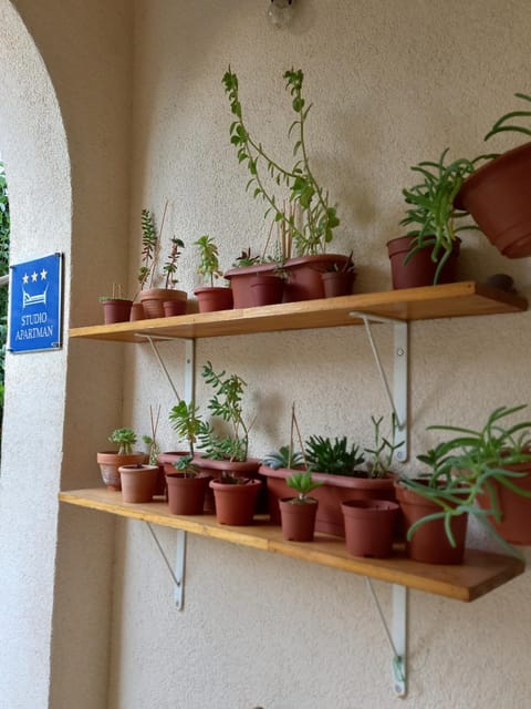 Studio Apartman Elena Apartment in Split