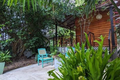 Day, Garden view