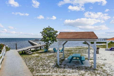 Day, Natural landscape, Beach