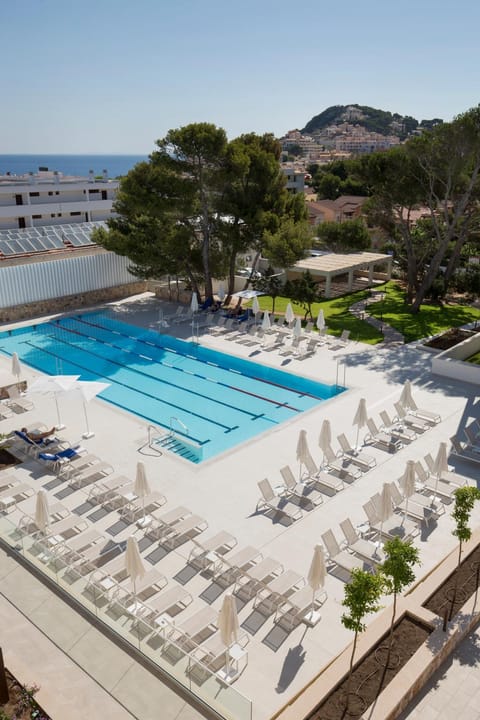 Bird's eye view, Swimming pool, Swimming pool