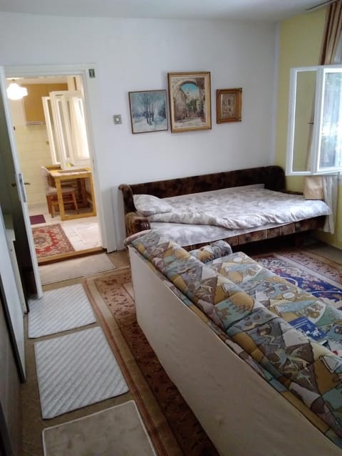 Home in flowers Apartment in Belgrade