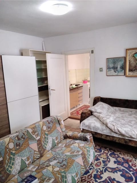 Home in flowers Apartment in Belgrade