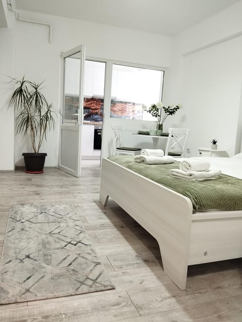 AMBER Studio Apartment in Craiova