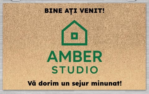 AMBER Studio Apartment in Craiova