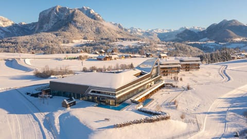 Property building, Winter