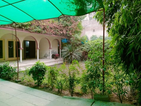 Property building, Garden, Garden view