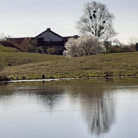 Spring