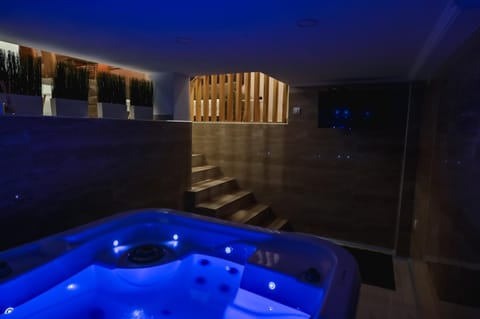 Level 1 Spa Apartman Apartment in Vojvodina