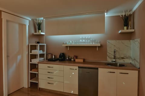 Level 1 Spa Apartman Apartment in Vojvodina